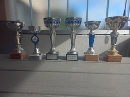 6 x Pokal