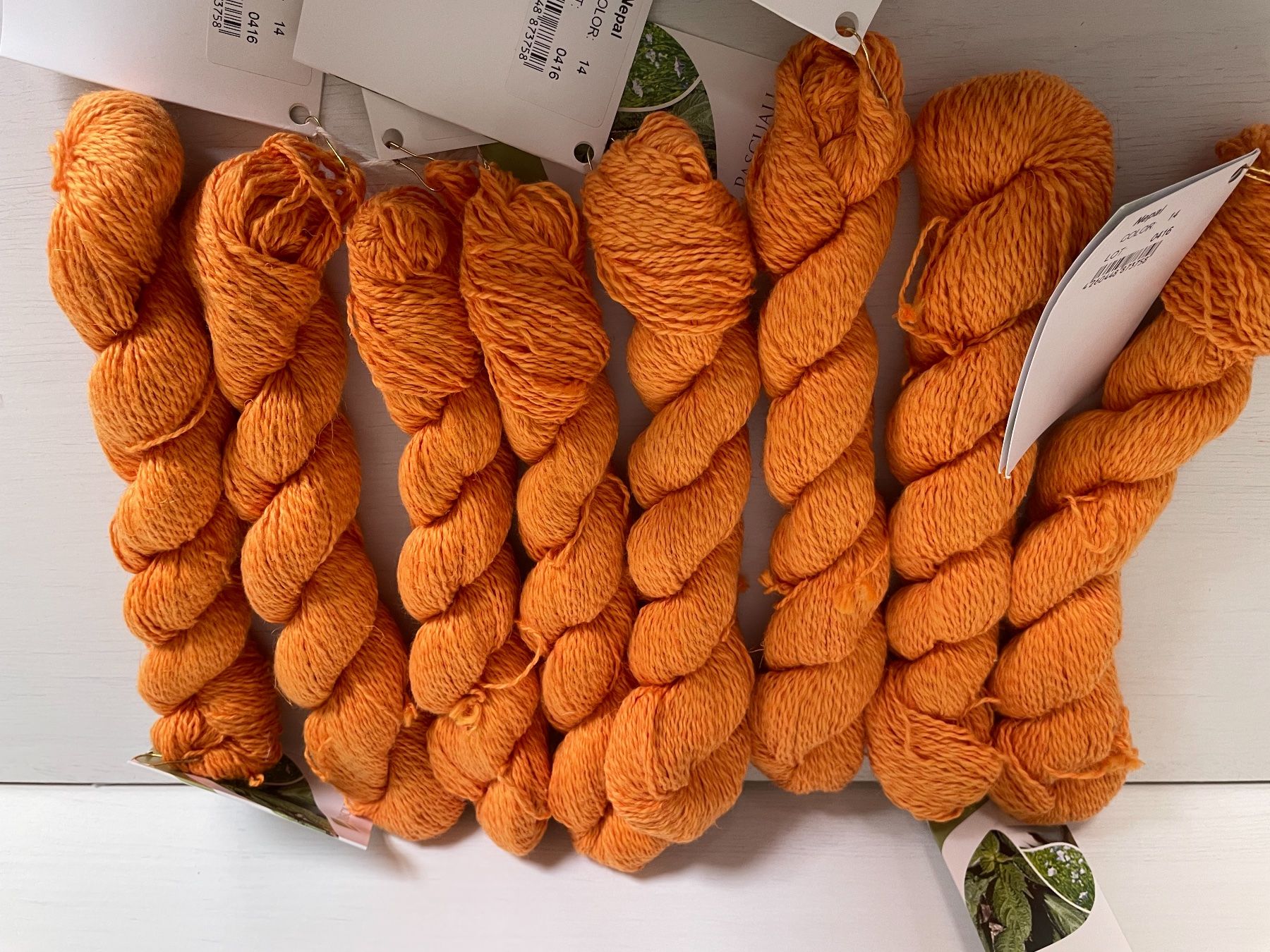 Lana: 1 Knäuel Nepal von Pascuali – Nuovo e nell'imballaggio originale da Büsserach venduto da bor_s88m 1