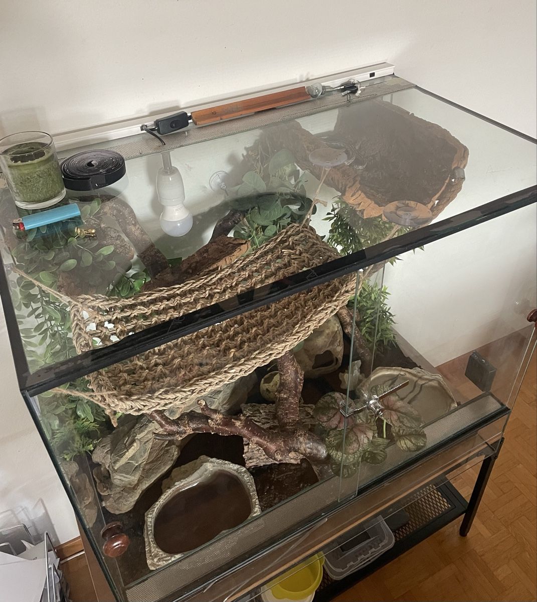 Terrario: Terrarium – Usato da Bülach venduto da dar_5xys 2