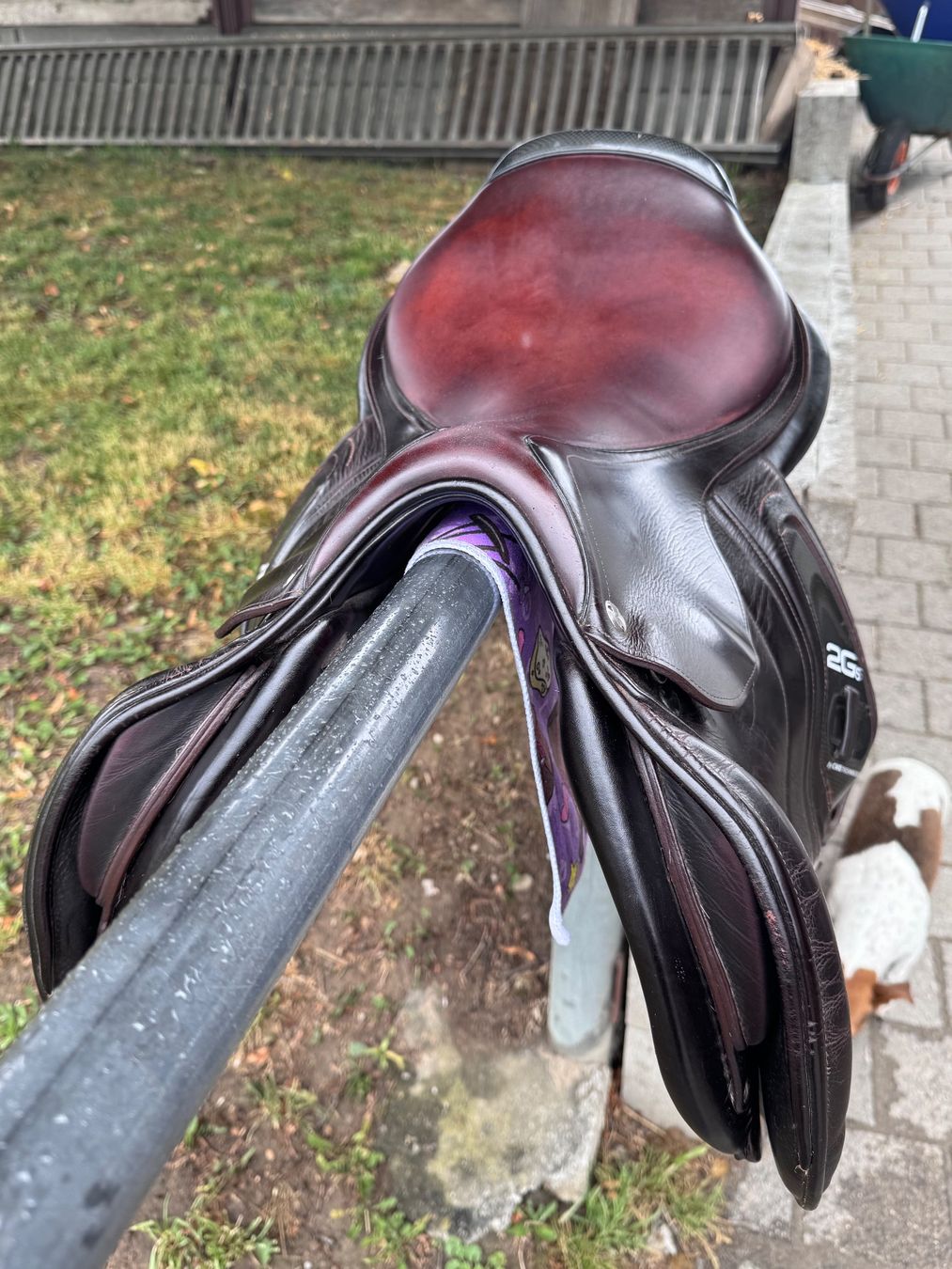 Selle & Accessori: CWD Springsattel – Usato da Egliswil venduto da TanjaH77 1