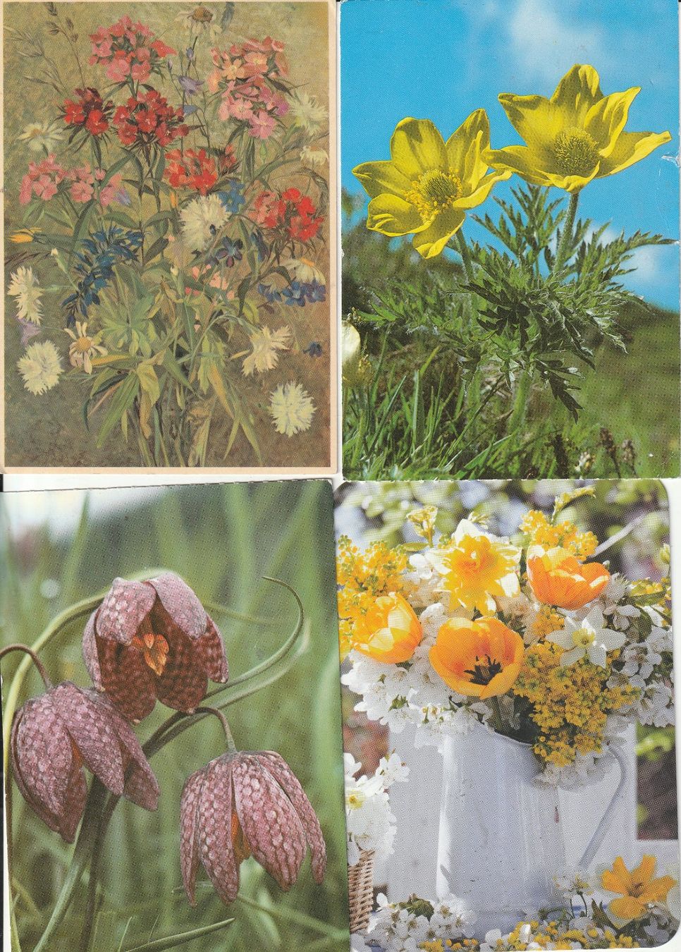 Cartoline postali: 40 Schöne Blummenkarten – Usato da Lumbrein venduto da made02 2