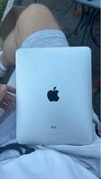 Apple iPad Defekt