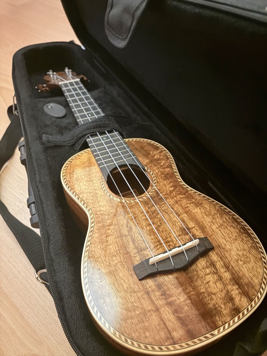 Instruments de musique: Ukulele – Neuf avec emballage d'origine à Luzern par seisend