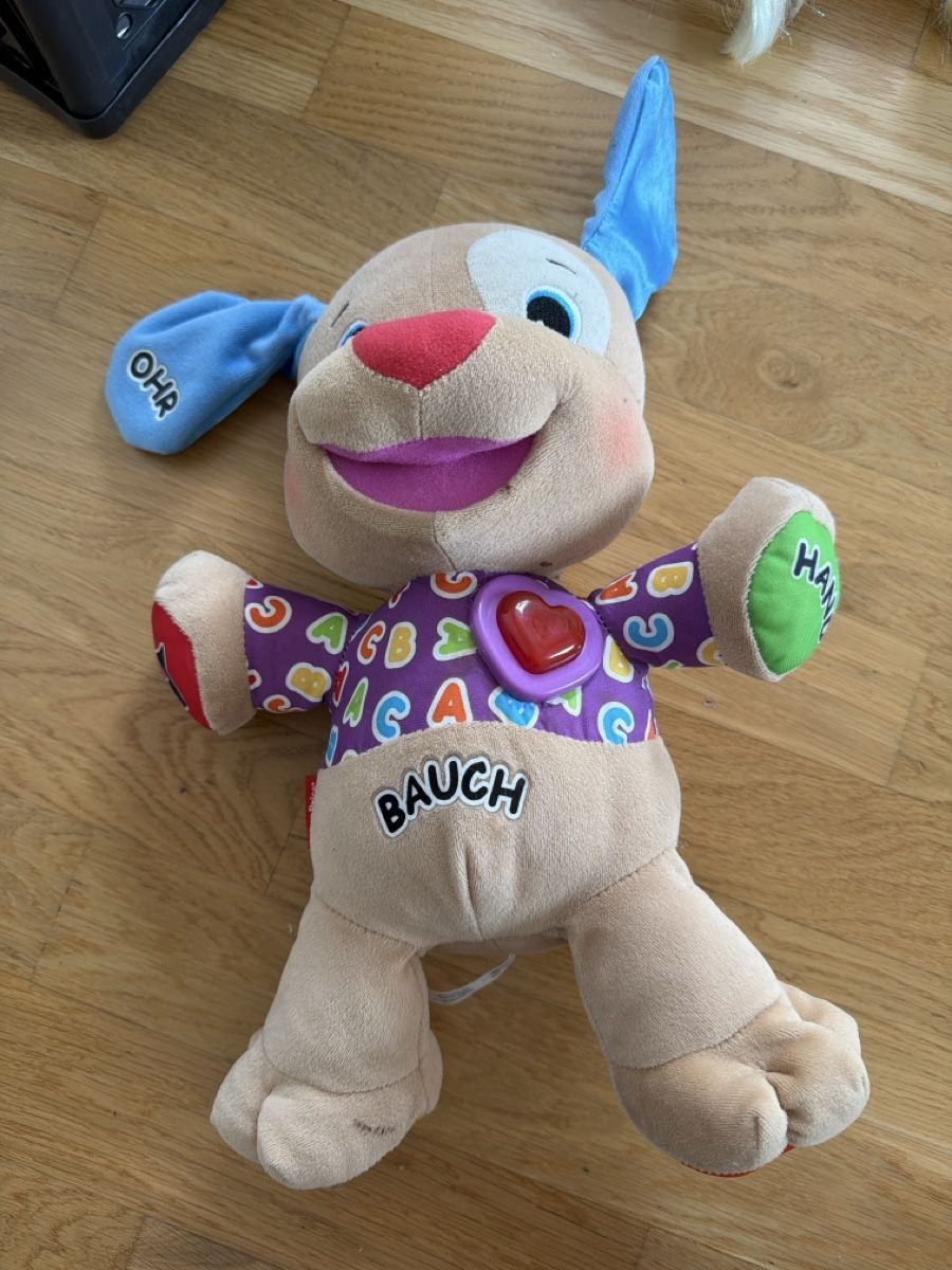 Fisher-Price Giocattoli: Babyplüschspielzeug mit Geräusche – Usato da Lenzburg venduto da Cowboy2000