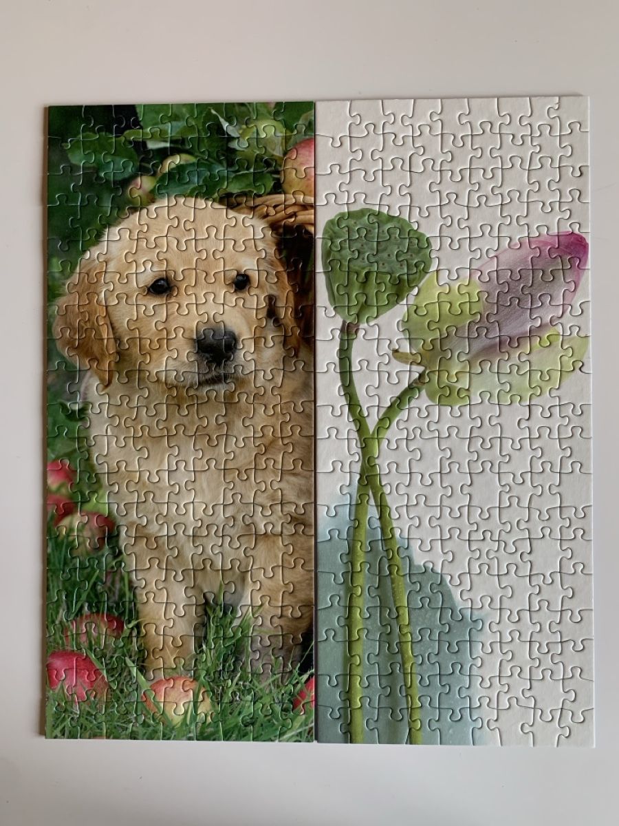 Puzzles: 2 Puzzles 🧩 Ravensburger (170 pièces ) – Neu (gemäss Beschreibung) aus Prilly von Sissi_1009 8