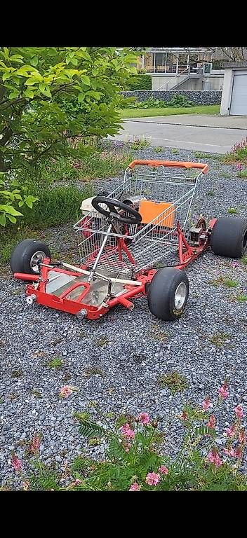 Karts: Einkaufswagen Gokart – Gebraucht aus Berneck von man_97yv 1