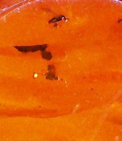 Catenine: Bernstein Kette mit Insekt – Usato da Dübendorf venduto da alracfo 6