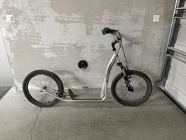 Tretroller/Scooter