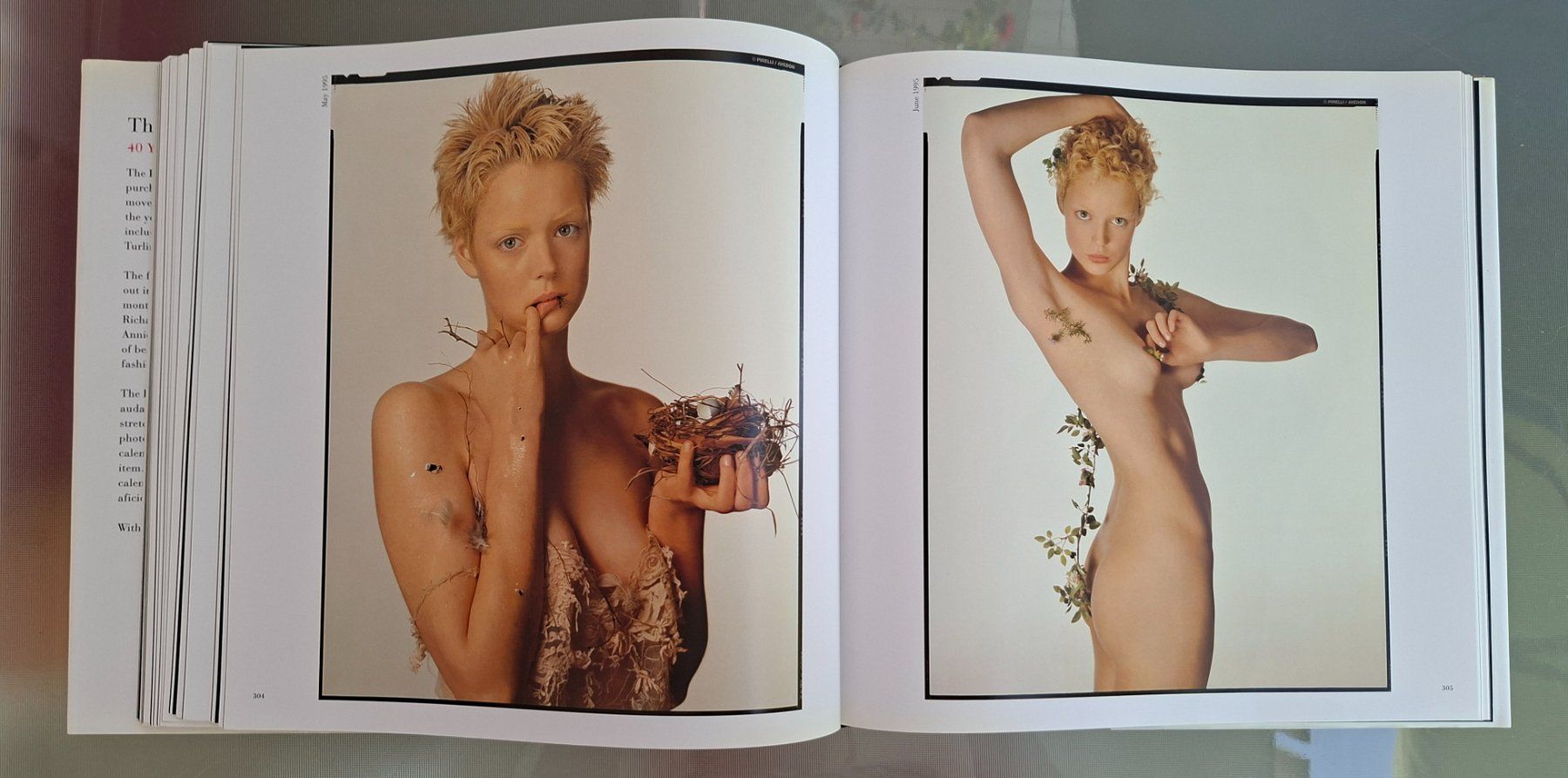 Libri: Pirelli Kalender: 40 Years Complete - Englisch, Selten! – Usato da Opfikon venduto da Diversamente 8