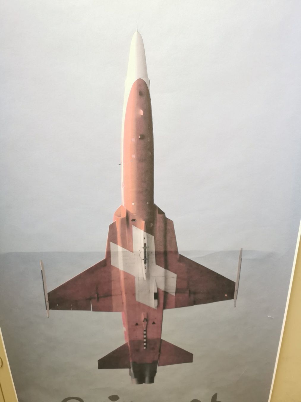 Misurare: Bild F-5 Tiger Fliegertruppe Luftwaffe – Usato da Neuenkirch venduto da bf-109 1