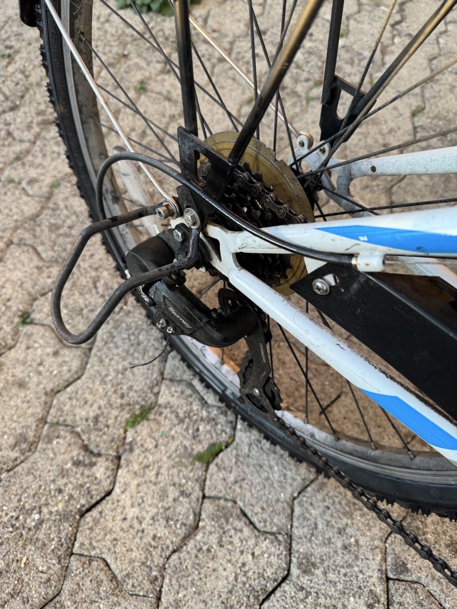 Leopard Velos: Kinder-/Jugendfahrrad Leopard "Space Cat"  – Gebraucht aus Glattfelden von Nusa800 9