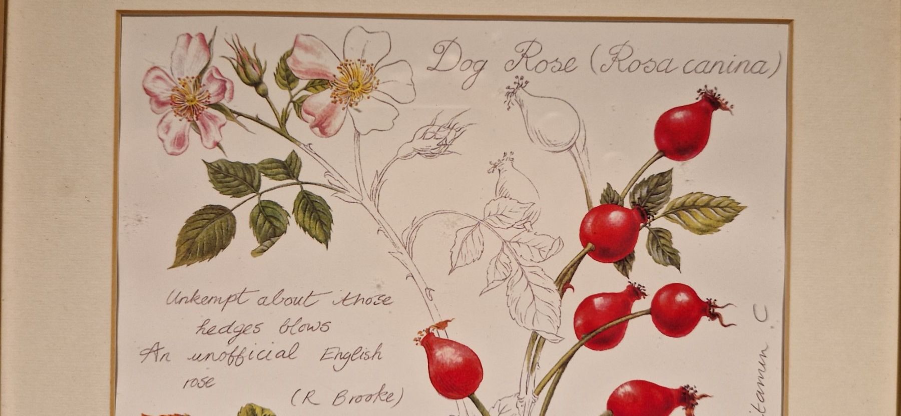 Posters & Illustrations: 2 Handgemalte Bilder mit Holzrahmen – D'occasion à Buus par Borki07 1