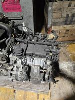 Motore Fiat Panda 1.0 Mild Hybrid 2021