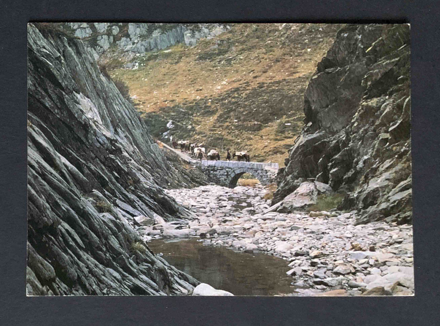 Cartoline postali: AK Mulattieri – Usato da Goldau venduto da artelier1