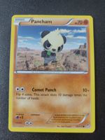 Pancham 60/111 Pokémon XY Furious Fists 2014 (EN) ab 1.-