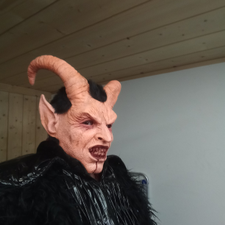 Profile image of IVO-2022