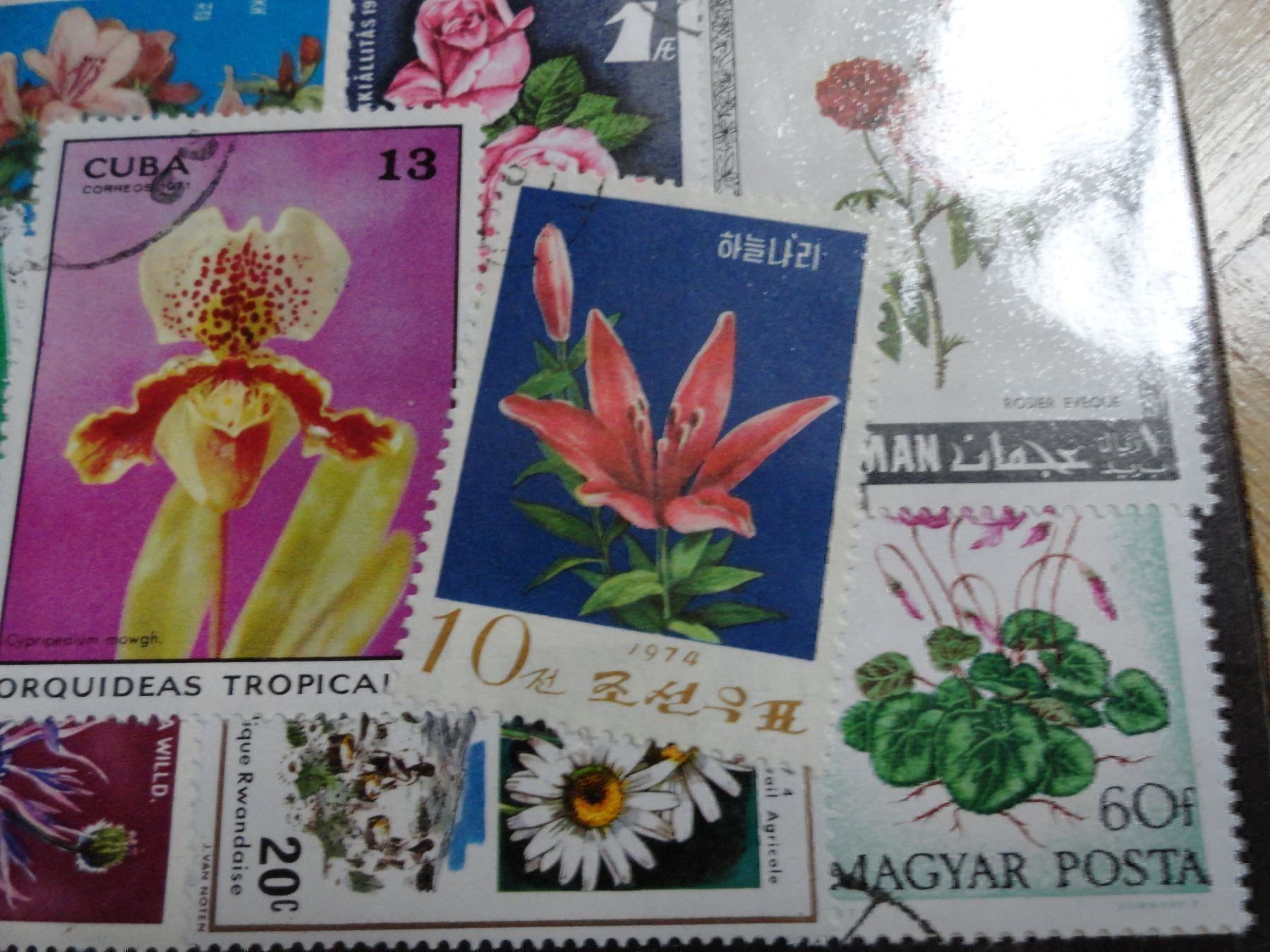 Alle Briefmarken: 25 Blumenmotive mit wunderschöner Abart! – Neu und originalverpackt aus stäfa von brandy66 3