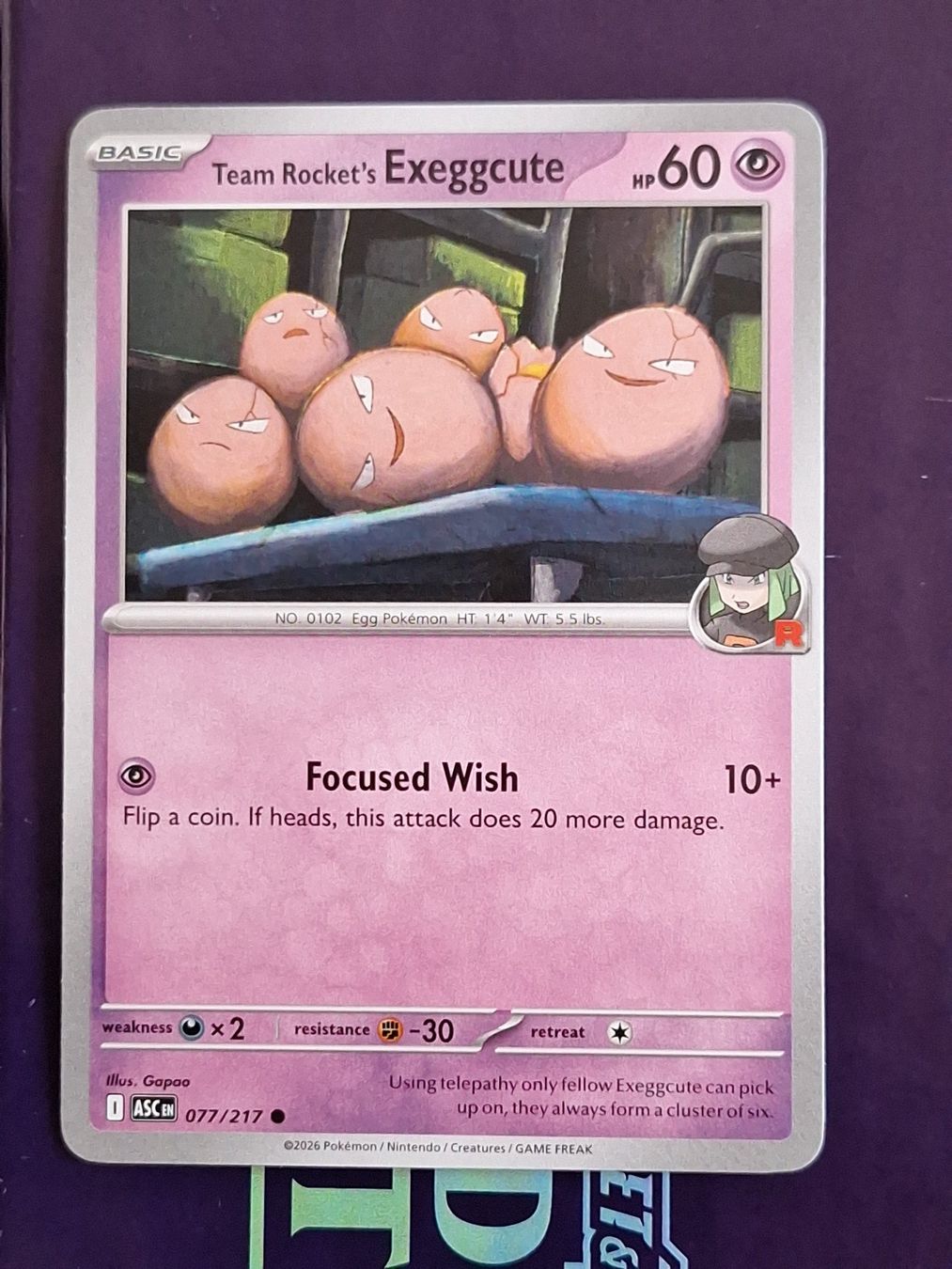 Pokémon Carte collezionabili: Team Rocket's Exeggcute - Pokemon Ascended Heroes – Usato da Altstätten SG venduto da GGsGameshop