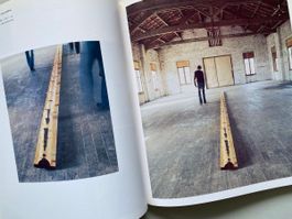 PENONE Guiseppe Arte Povera - Celant - rondinone