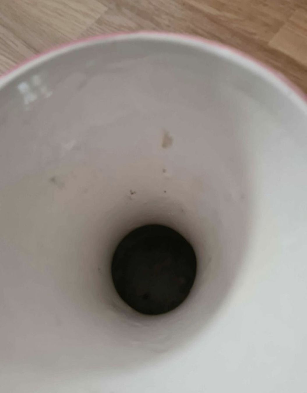 Vasi & Recipienti: Blumen Vase, Vintage, Deko – Usato da Langenthal venduto da Polarisstern 4