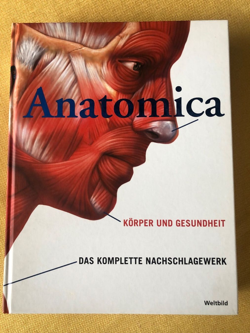 Libri: ANATOMICA von Könemann – Usato da Oberweningen venduto da Gerini