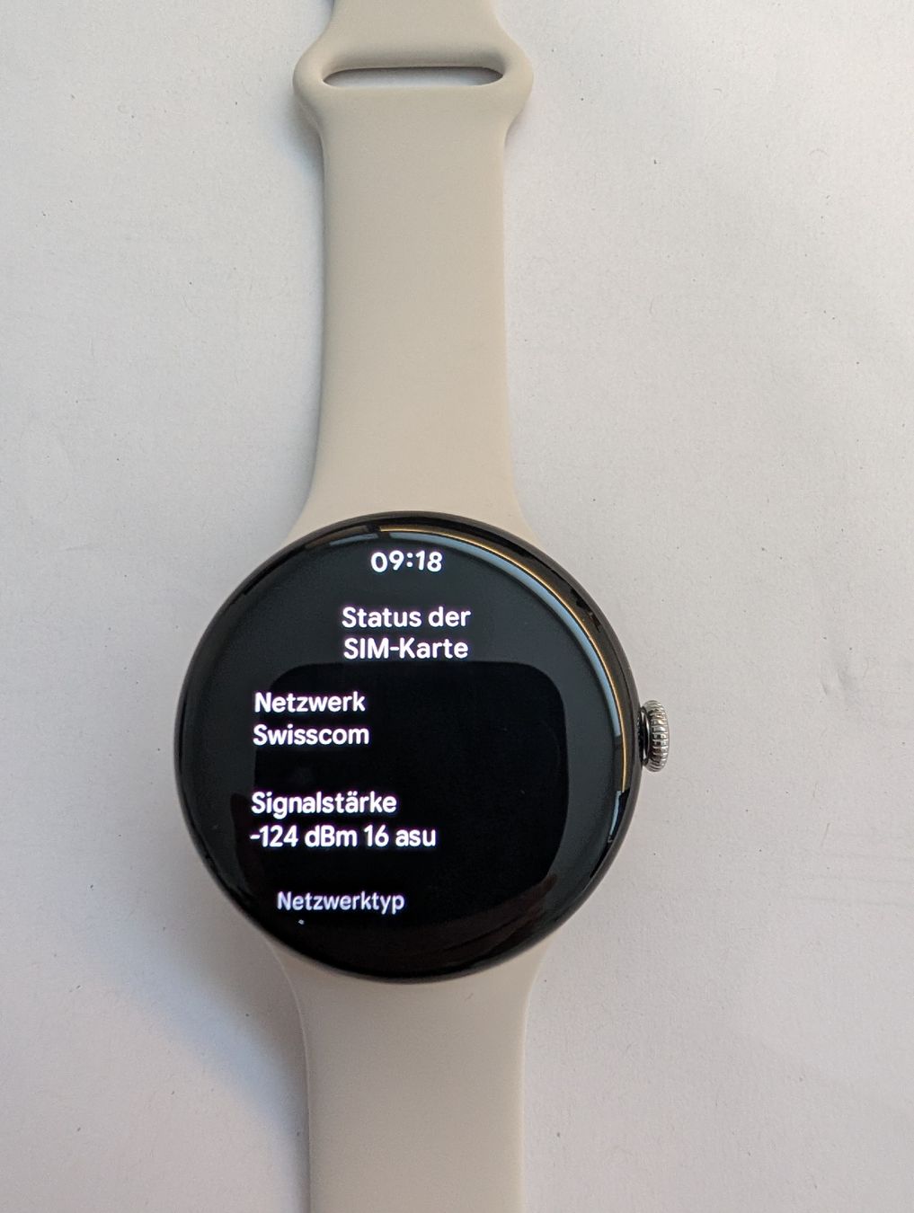 Google Smartwatch: Google Pixel Watch 4 LTE mit OVP 45/mm – Gebraucht aus Bremgarten b. Bern von donric 2