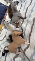 Schleich Pferde mit Zubehör guter Zustand