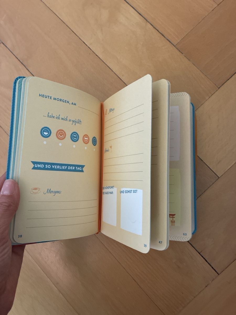 Libri: Reisetagebuch Neu – Nuovo e nell'imballaggio originale da Zürich venduto da vsro 1