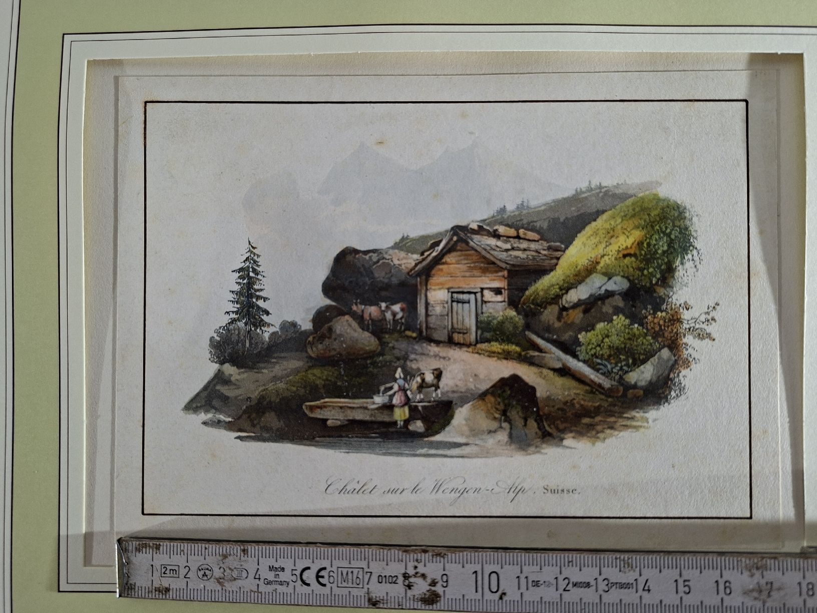 Incisioni: Lot 22, 5 Stiche – Usato da Grindelwald venduto da carro5 9