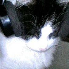 Profile image of fin_xkc8