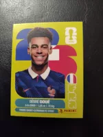 Panini FIFA World Cup 2026 FRA 17