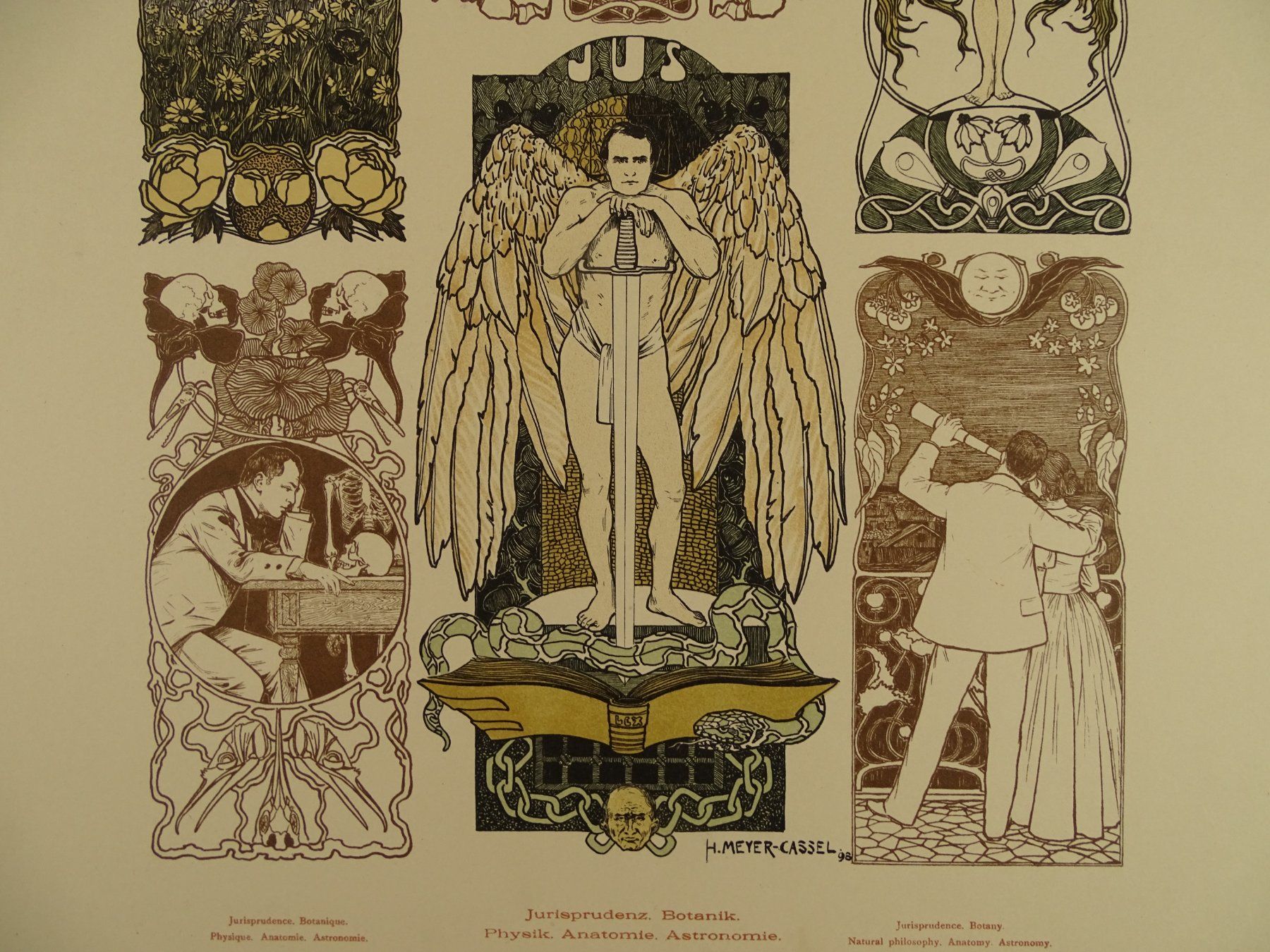Grafica & Litografie: HANS MEYER-KASSEL: JURISPRUDENZ, BOTANIK…, JUGENDSTIL – Usato da Grüningen venduto da Kartensammler 3