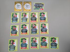 FIFA Panini Algeria (ALG)