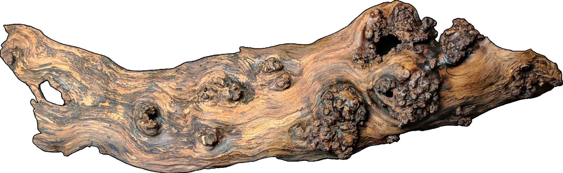 Toutes les décorations: Deko Holz Rinde – Neuf (Voir description) à Muhen par phoenix1