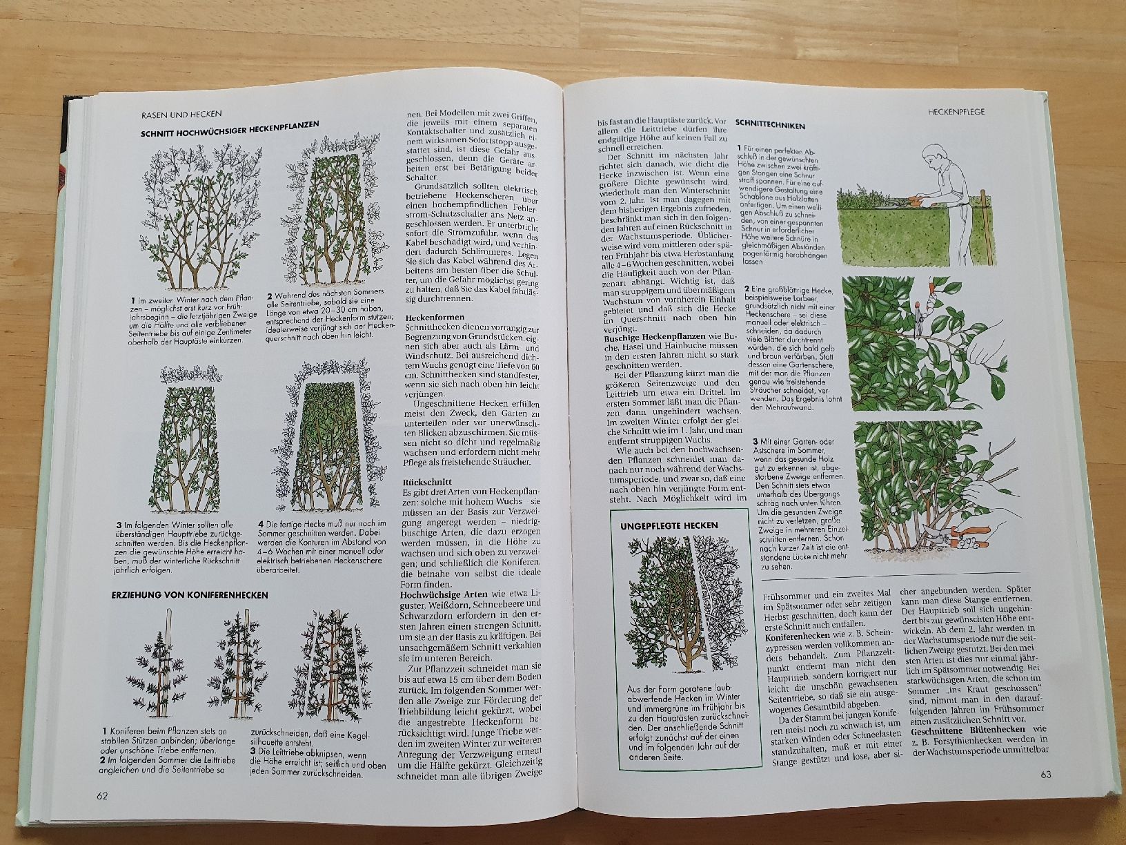 Libri: Gartenarbeit leichtgemacht – Usato da Niedergösgen venduto da Sabina6355 2