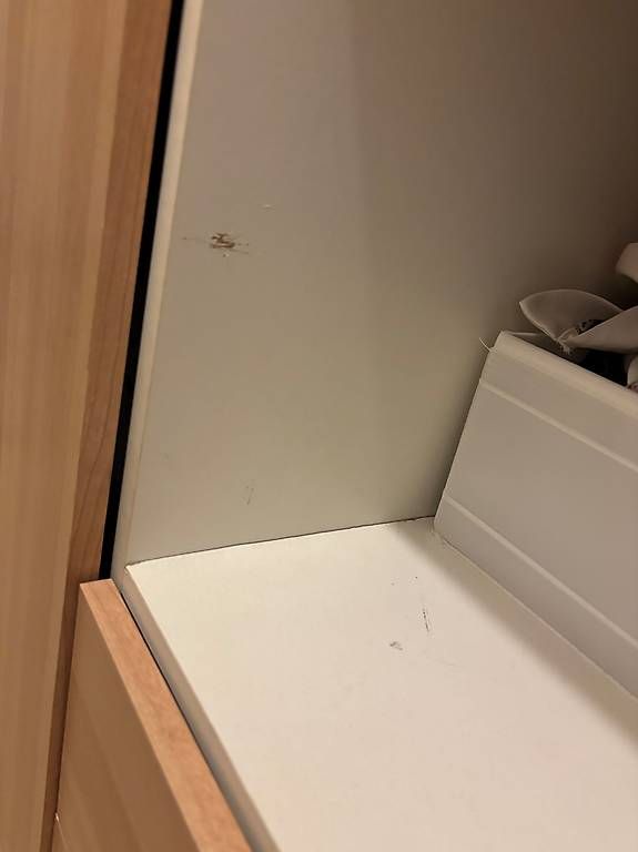 Armadi: Kleiderschrank – Usato da Dielsdorf venduto da eva_sm5g 4