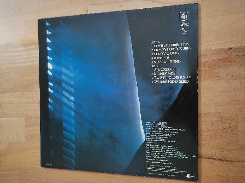 Dischi in vinile: LP Vinyl, ALISON MOYET, "ALF" – Usato da Zielebach venduto da Teneristi 1
