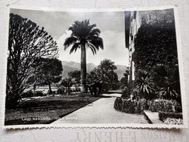 Ancienne carte postale- Lago Maggiore Isola Madre