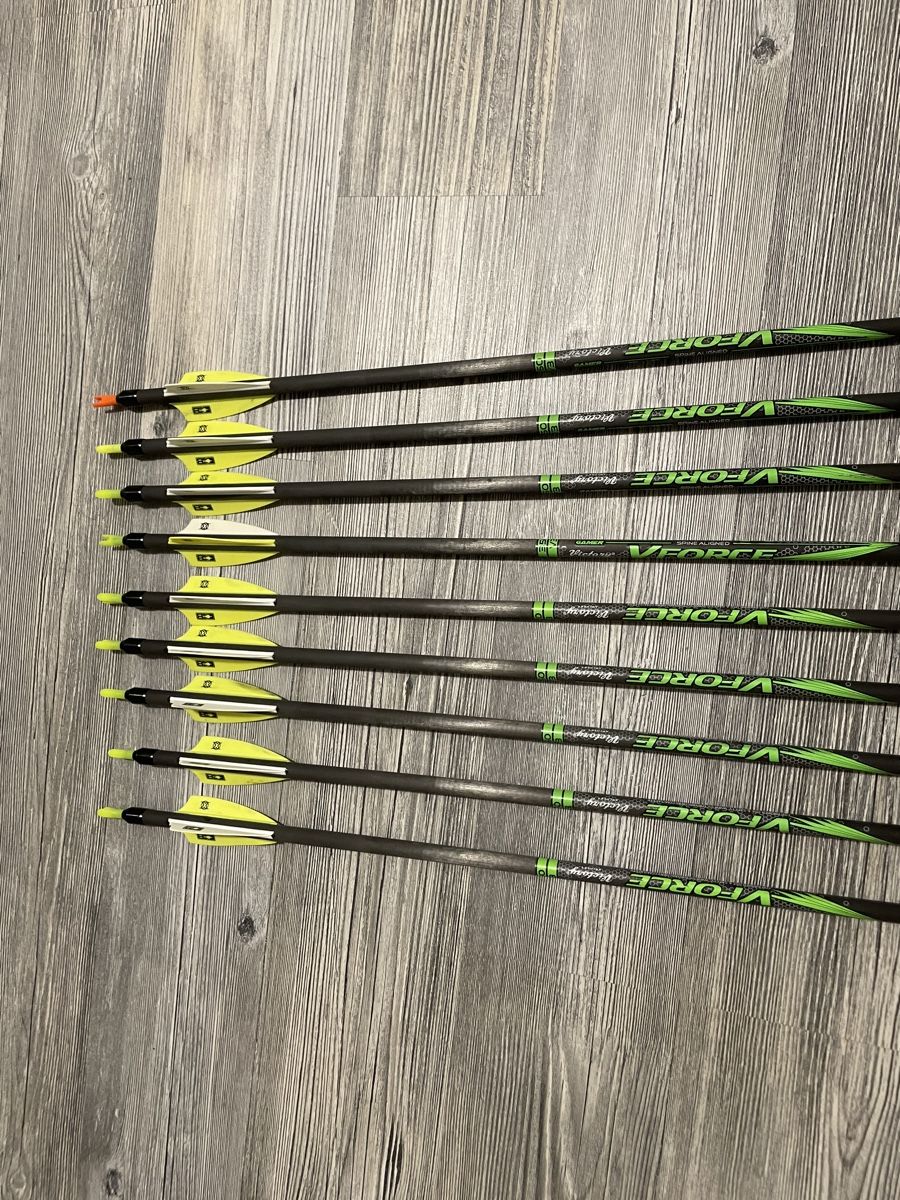 Hoyt Tiro con l'arco: Zwei Compound Bögen mit Zubehör – Usato da Aarburg venduto da tob_xh5y 5