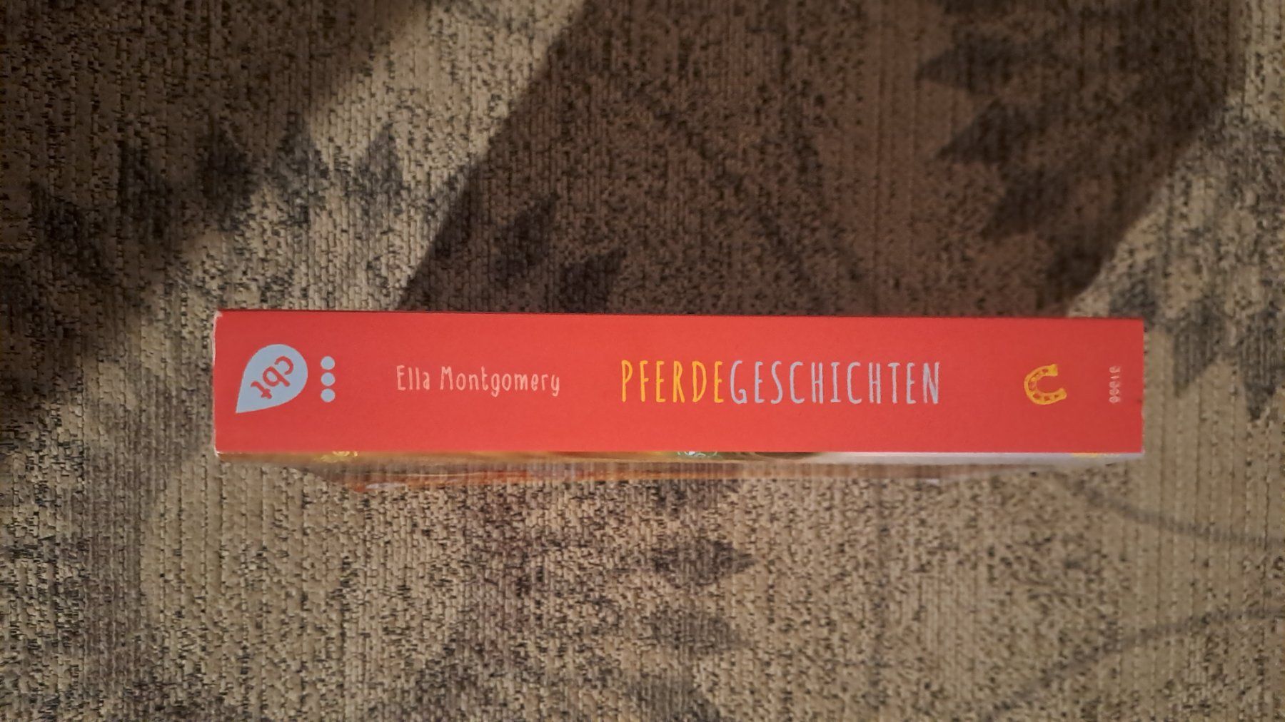 Libri: Pferde Geschichten – Usato da Zürich venduto da mili021 2