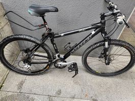 Stevens Bike
