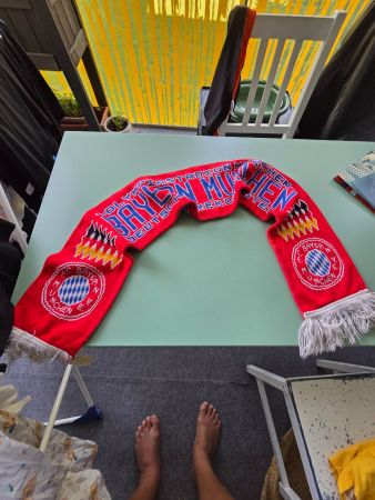 FC Bayern Schal