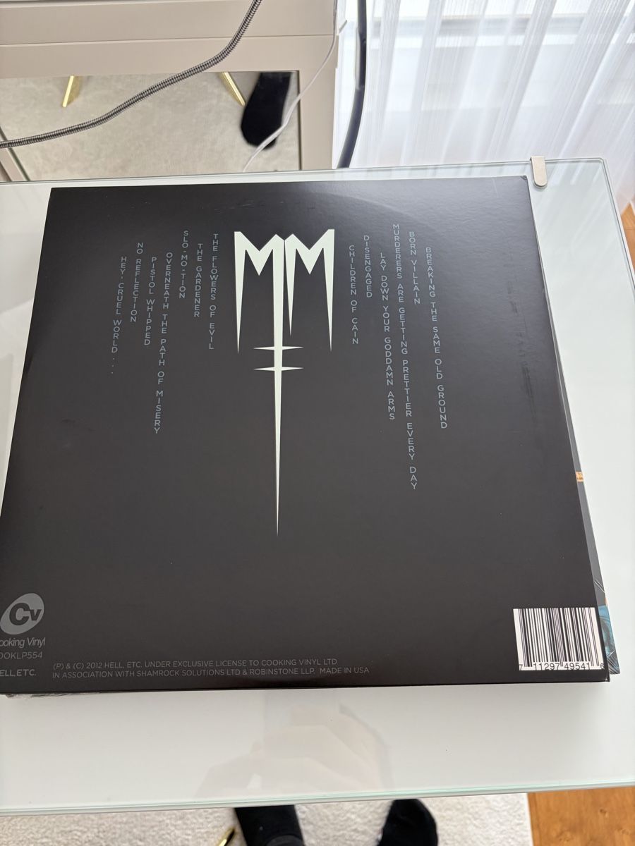 Dischi in vinile: Marilyn Manson Born Vilain LP – Usato da Härkingen venduto da cinemaster 1