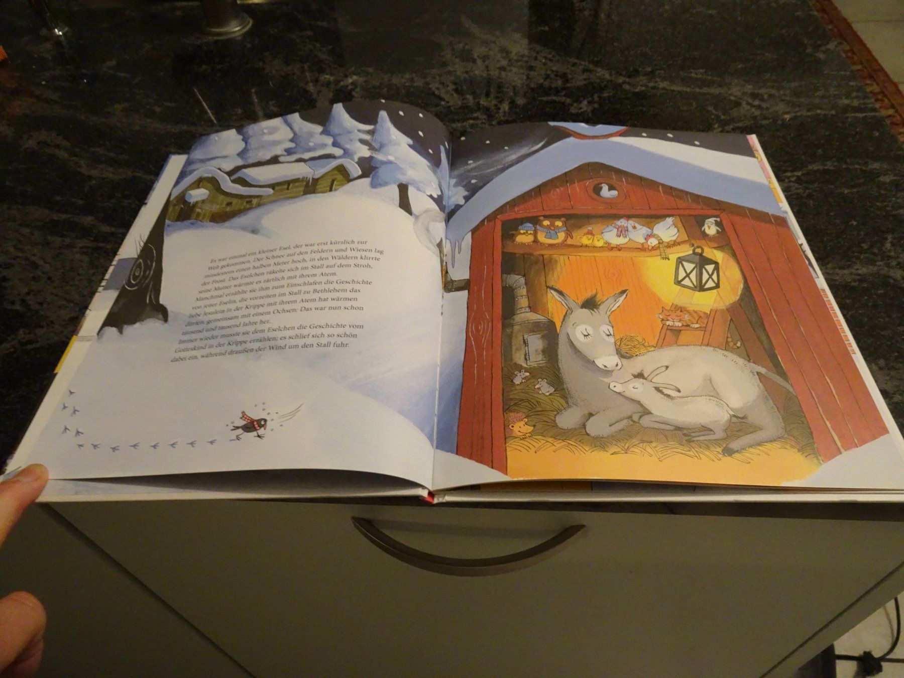Libri: Weihnachtsgeschichte: Das Eselchen und der kleine Engel – Usato da Zürich venduto da Roulet 3