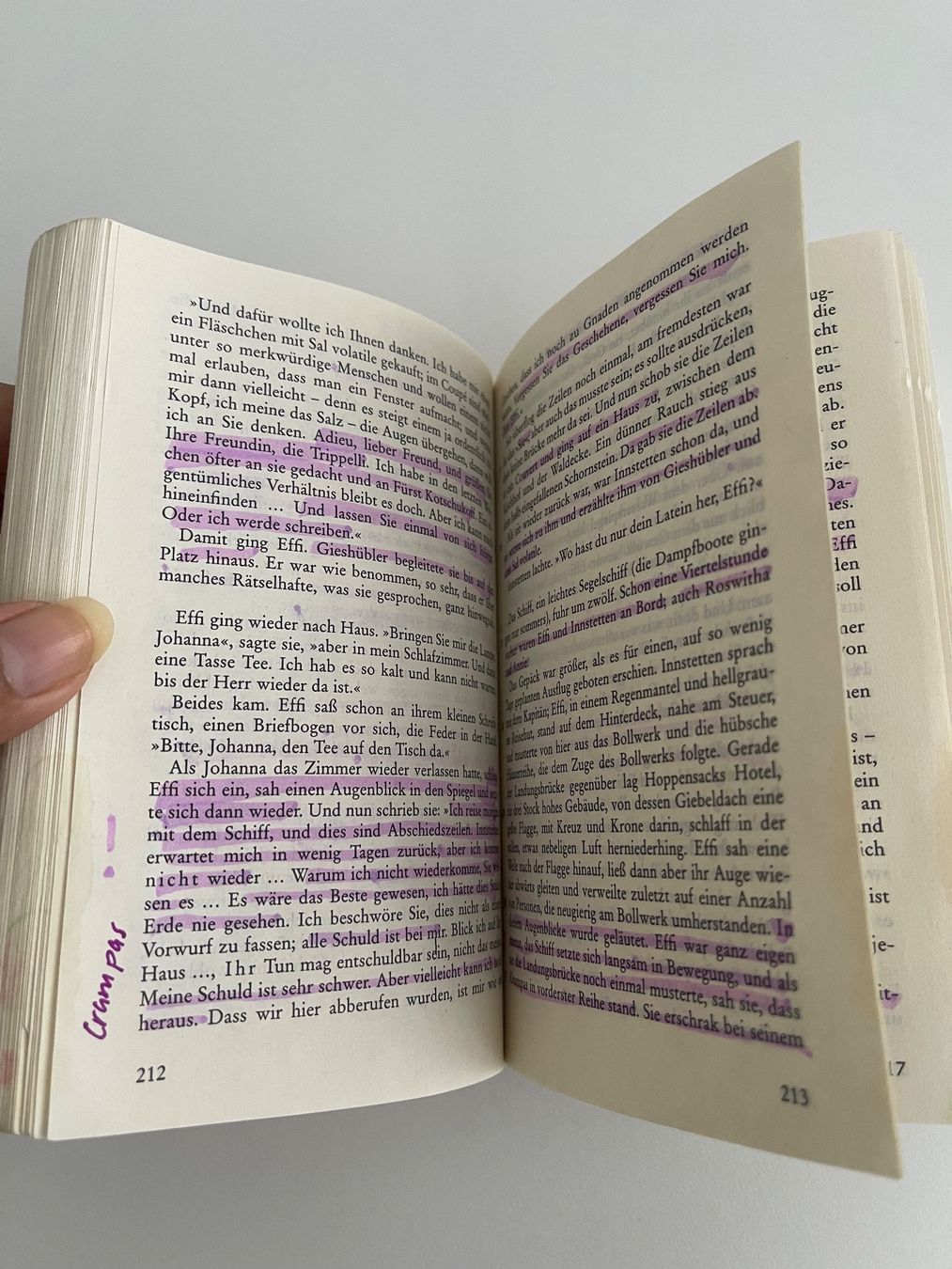 Libri: Effi Briest von Theodor Fontane – Usato da Neuenegg venduto da aba_g85b 1