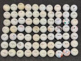 70 Golfbälle Mix, Titleist, Callaway, Srixon, Bridgestone