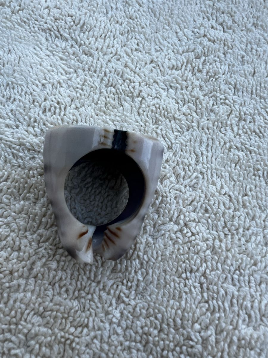 Anelli: Vintage Statement Ring, Shell Optik, Grösse 54, Unikat! – Nuovo (secondo la descrizione) da Rorschach venduto da lvi_p29s 2