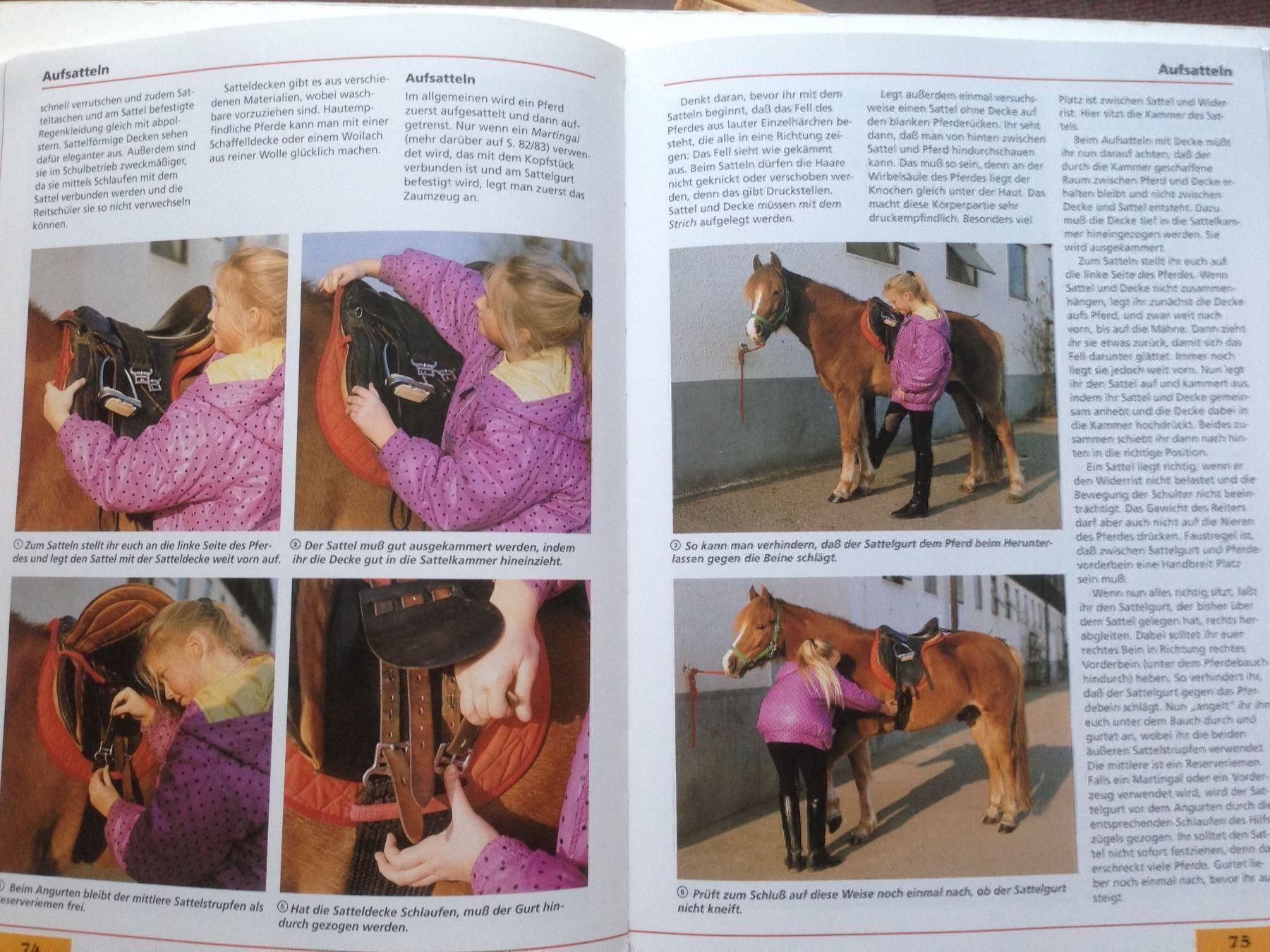 Libri: Das Kosmos-Buch vom Reiten – Usato da Lütisburg venduto da wiesenpippau 3