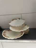 Dekorative Muschelschale auf Steinen