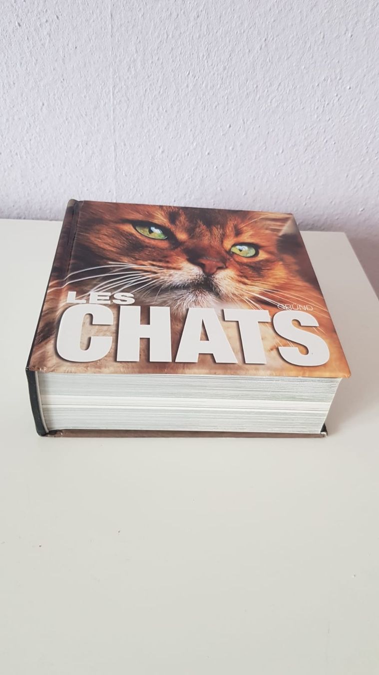 Libri: Livre Les chats, collection cubalire – Nuovo (secondo la descrizione) da Versoix venduto da aline_b